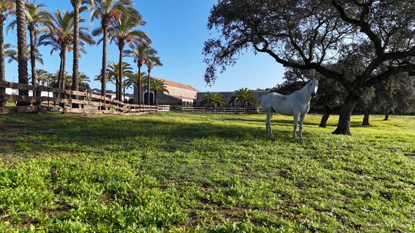 Resort Rural Barral *