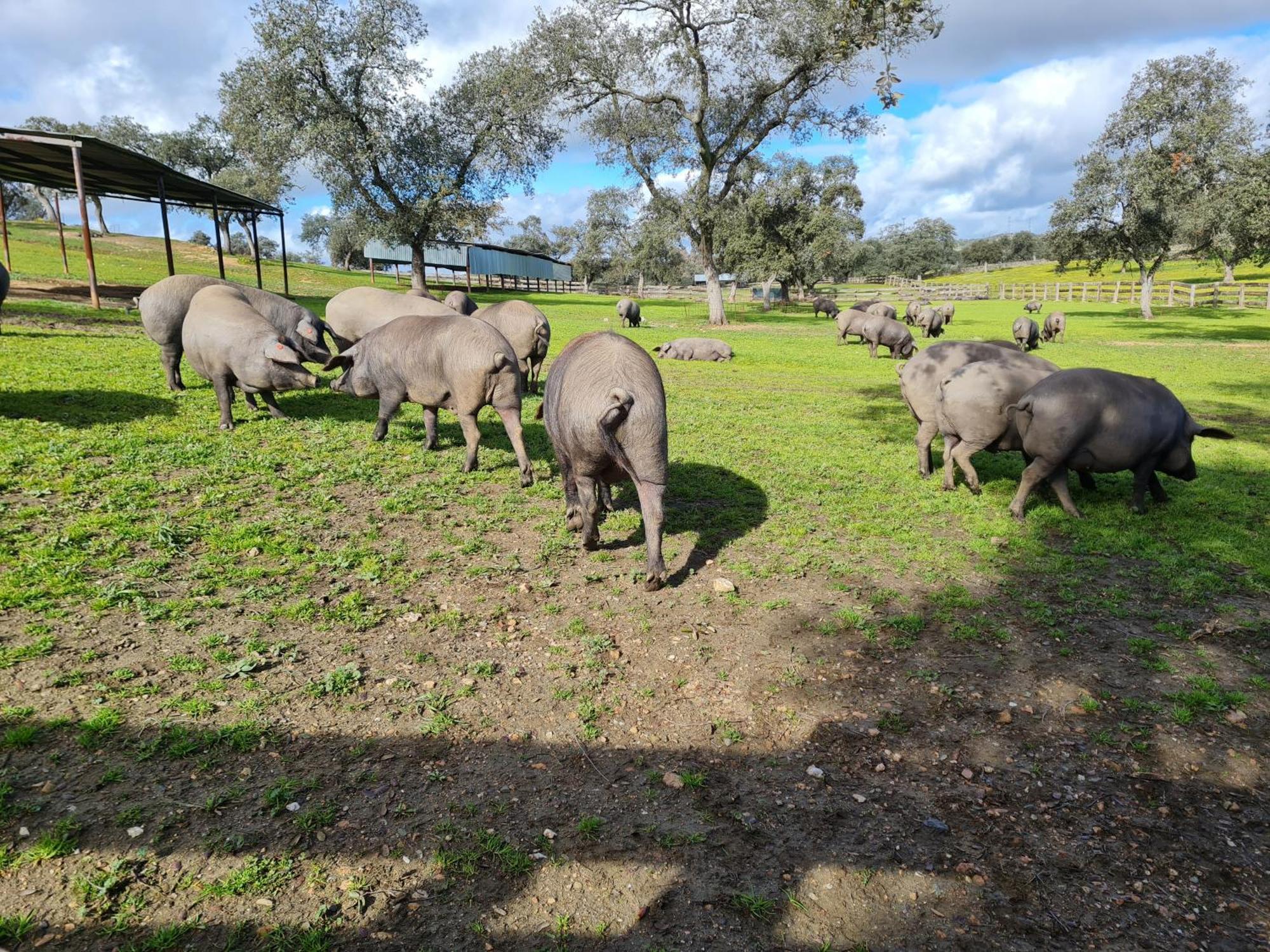 Rural Barral El Garrobo