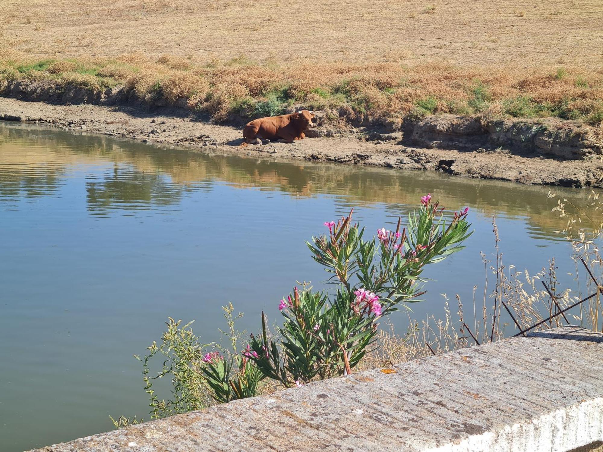Resort Rural Barral