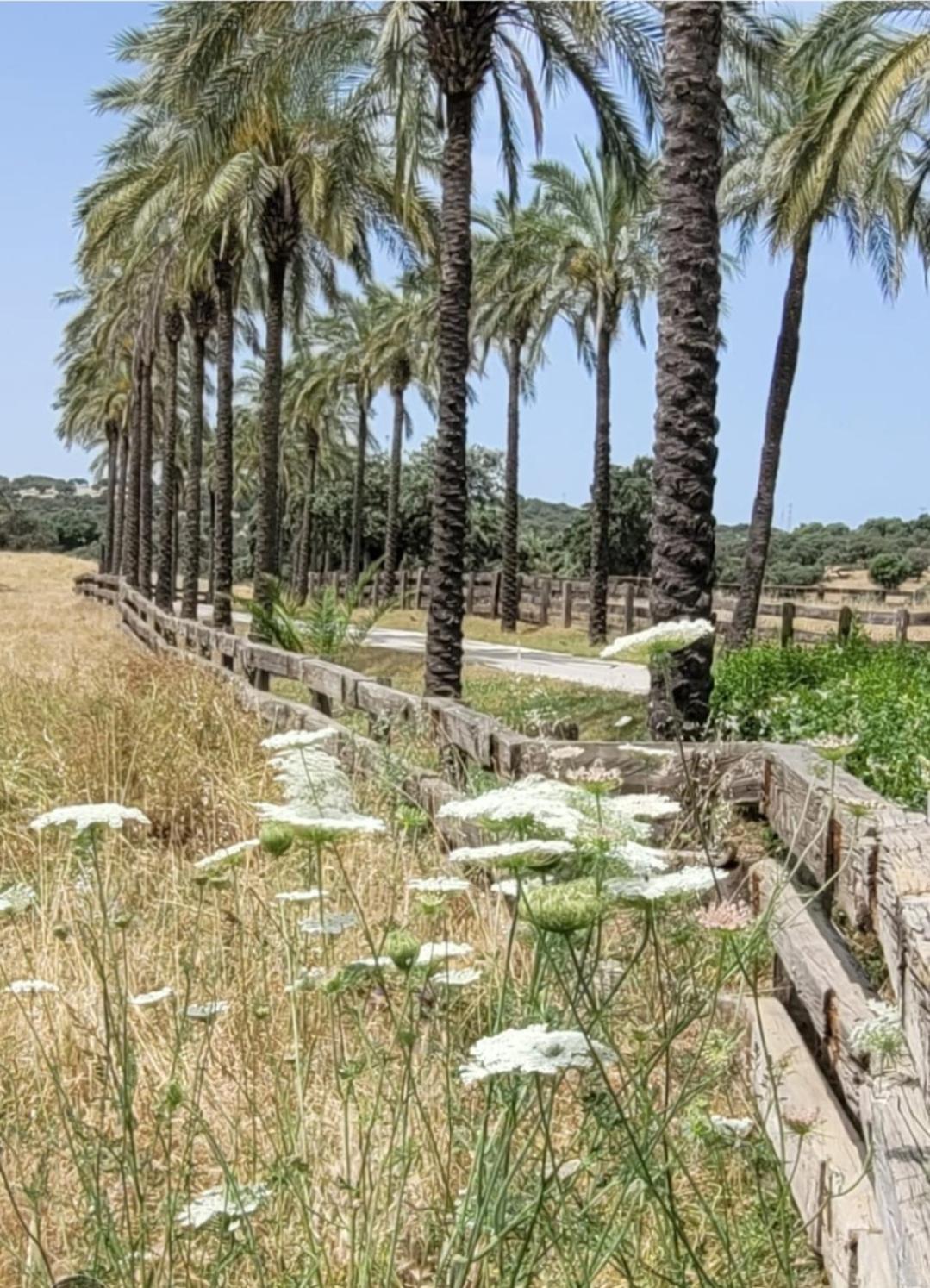 Resort Rural Barral