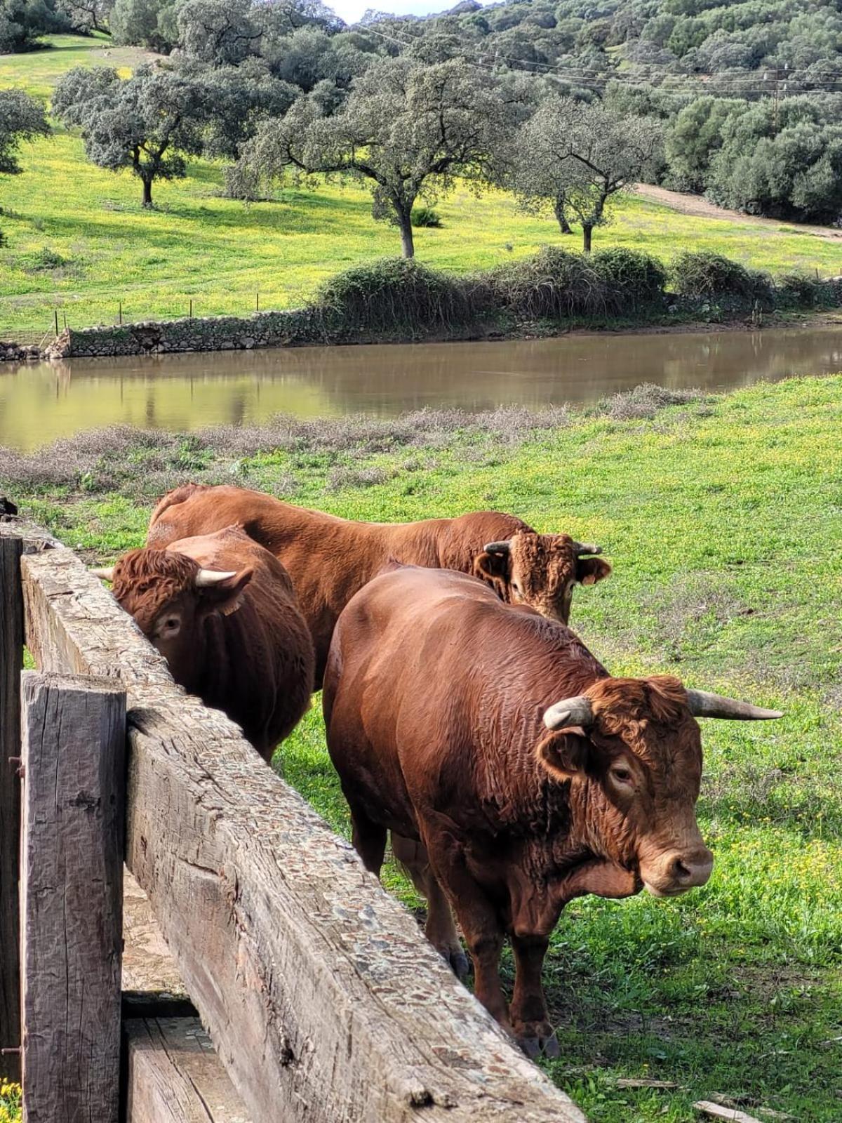 Ośrodek wypoczynkowy Rural Barral