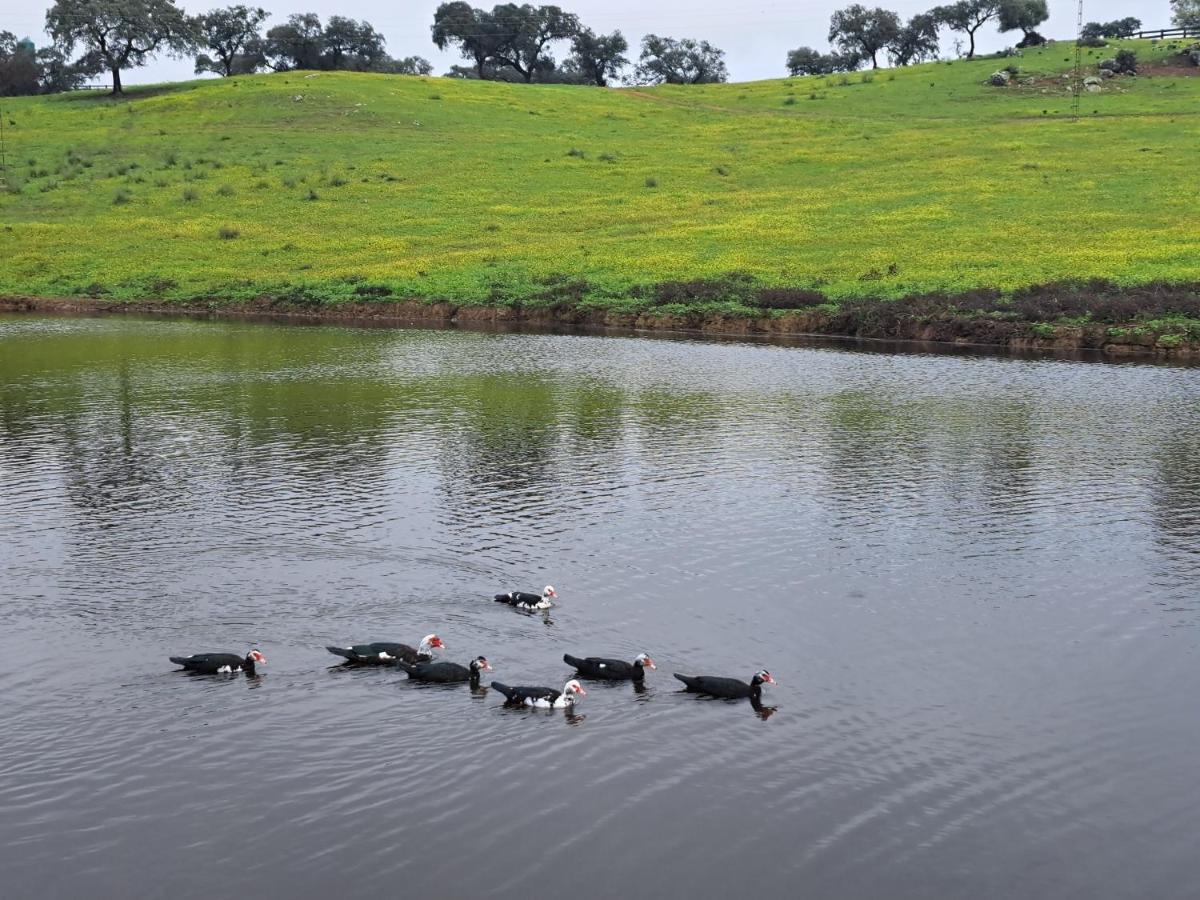 Resort Rural Barral